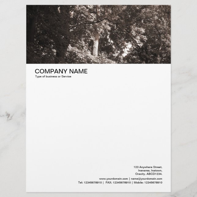 Large Picture Header - In the Trees Letterhead (Front)