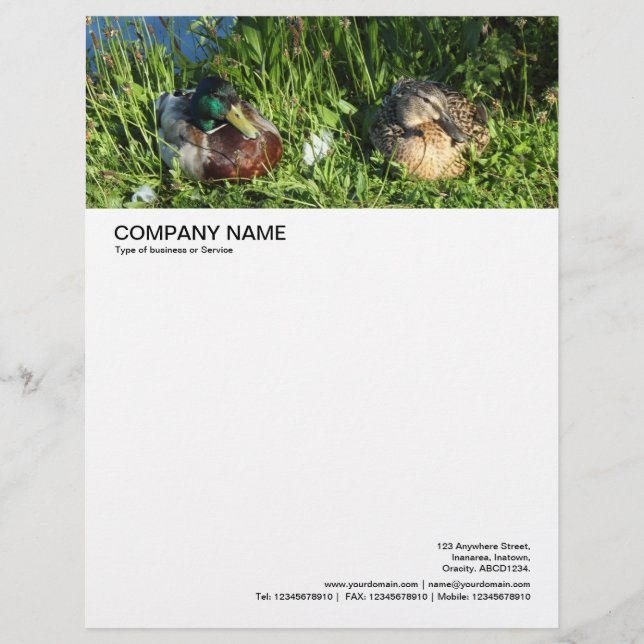 Large Picture Header - Mr and Mrs Mallard Letterhead (Front)