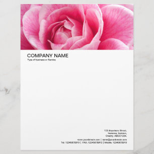 Large Picture Header - Pink Camelia Letterhead