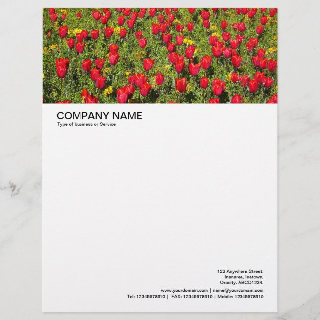 Large Picture Header - Red Tulips Letterhead (Front)