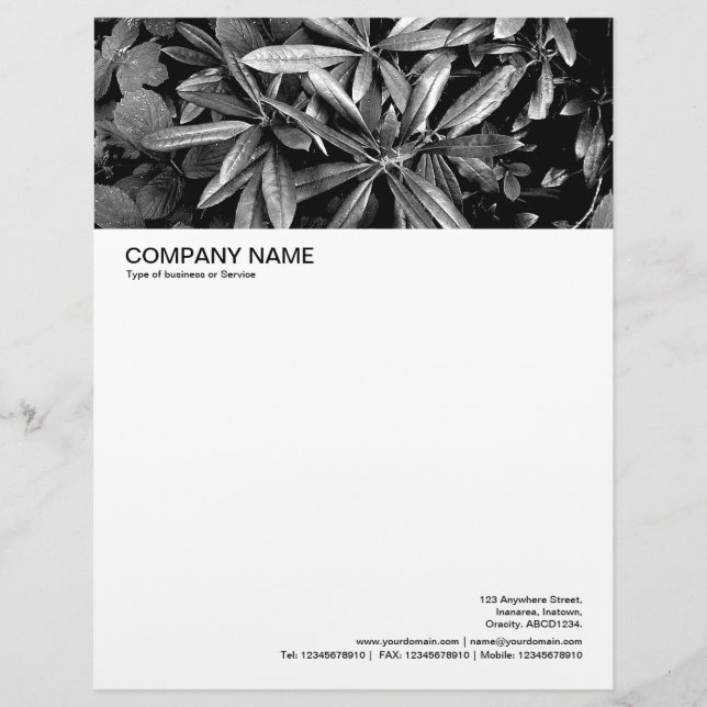 Large Picture Header - Rhododendron Leaves Letterhead (Front)