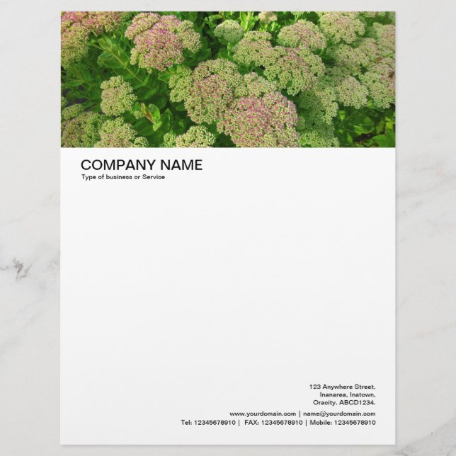 Large Picture Header - Sedum Autumn Joy Letterhead (Front)