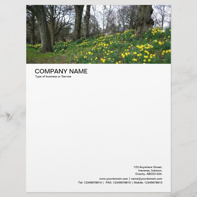 Large Picture Header - Spring in Bute Park Letterhead (Front)