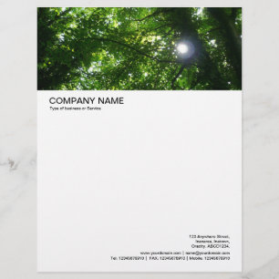 Large Picture Header - Sun Shining Through Trees Letterhead
