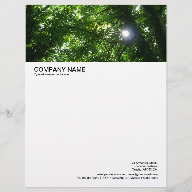 Large Picture Header - Sun Shining Through Trees Letterhead (Front)