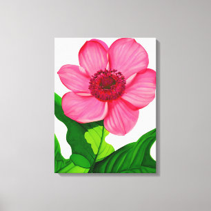 Large Pink Anemone with Emerald Green Leaves Canvas Print