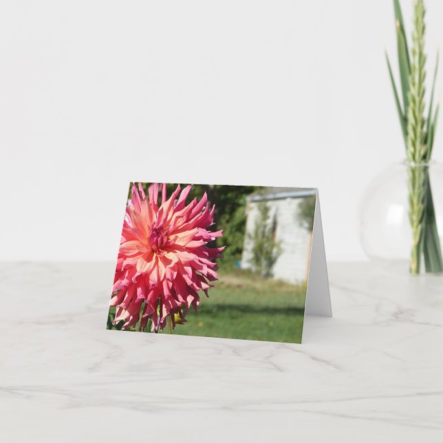 "LARGE PINK DAHLIA" NOTECARD (Front)