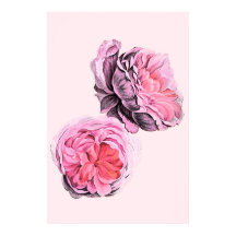 Large Pink Flowers Vintage Art Poster