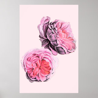 Large Pink Flowers Vintage Art Poster