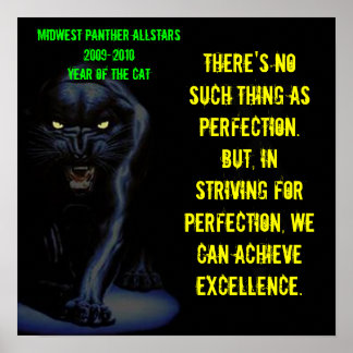 Large Poster - No such thing as perfection