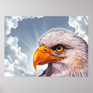 Large Powerful Bald Eagle Poster Hope for America