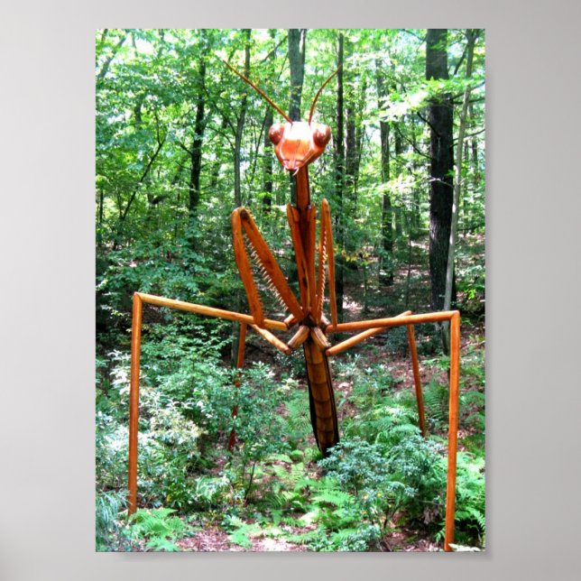 Large Praying Mantis Poster (Front)