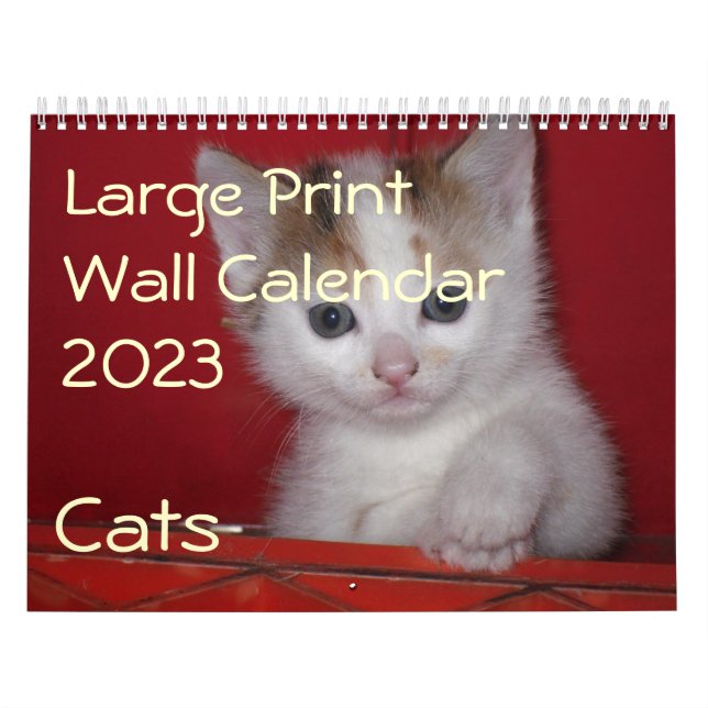 Large Print Wall Calendar 2023 - Cats (Cover)