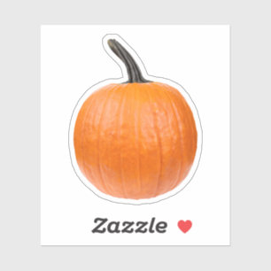 Large Pumpkin