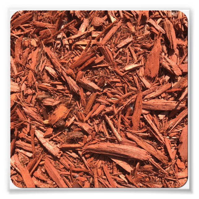 Large red cedar mulch pattern landscape contractor photo print (Front)