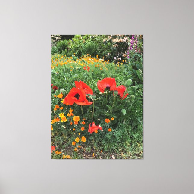 Large Red Poppies in an English Garden Canvas Print (Front)