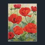Large Red Poppies Postcard<br><div class="desc">Large Red Poppies (watercolour on paper) Ryland Christopher / Private Collection / Bridgeman Images</div>