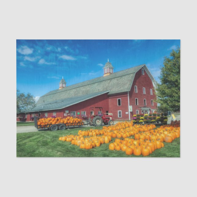 Large Red Vermont Barn With Pumpkins Tissue Paper (Front)