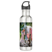 Large Roseate Spoonsbill Babies Water Bottle