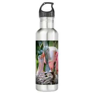 Large Roseate Spoonsbill Babies Water Bottle