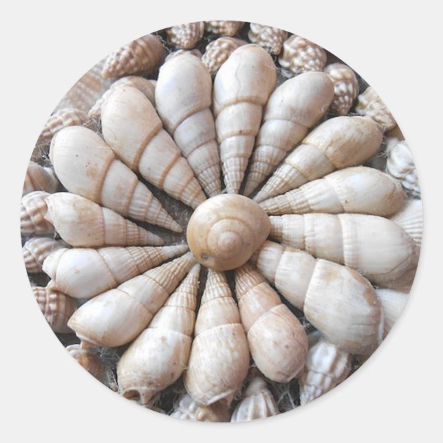 Large Round Artistic Seashell Stickers (Front)