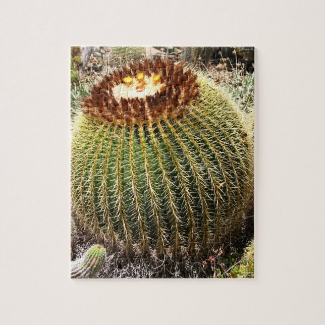 Large Round Prickly Cactus Jigsaw Puzzle (Vertical)