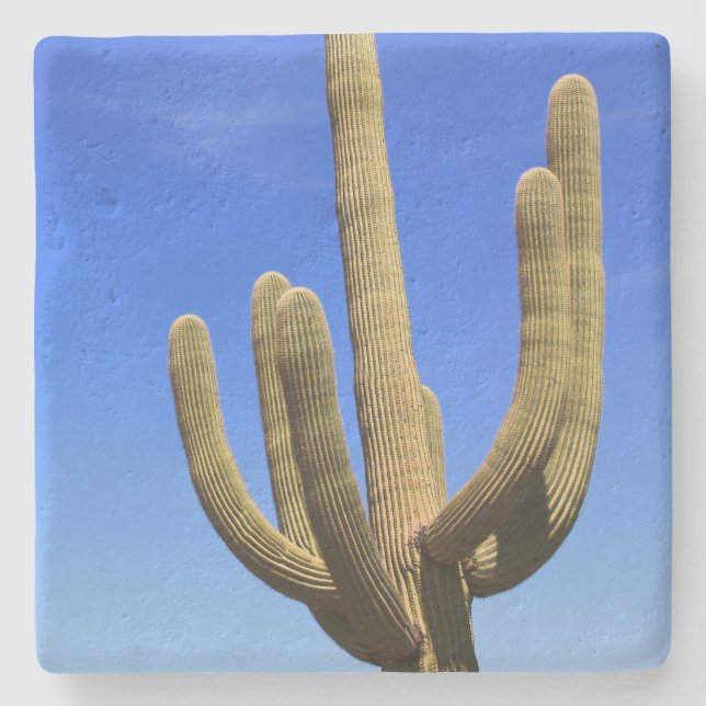 Large Saguaro Cactus,Arizona, square stone coaster (Front)
