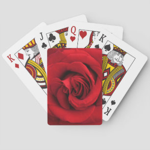 Large Single Red Rose Up Close Playing Cards