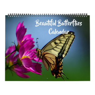 Large Size Beautiful Butterflies Calendar