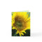 Large Sunflower Get Well or any occasion-customize