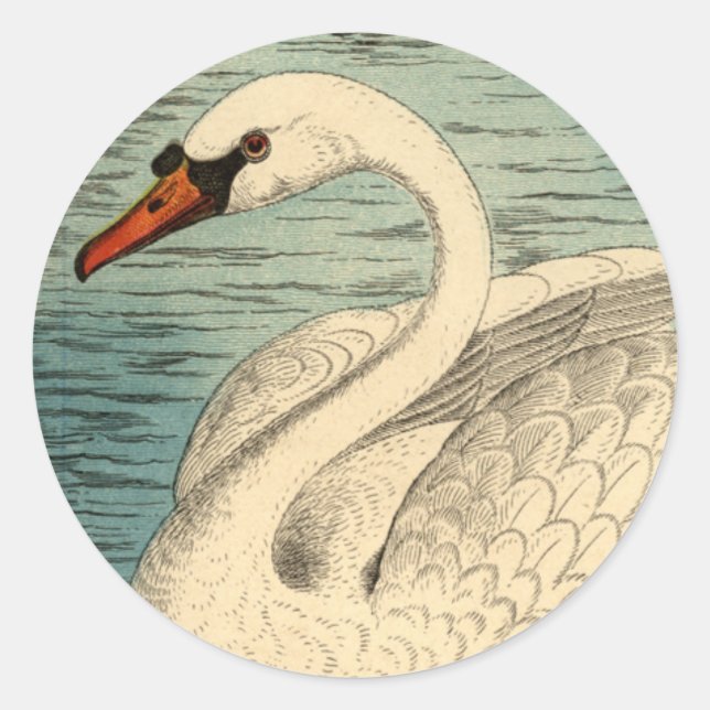 Large Swan Stickers (Front)