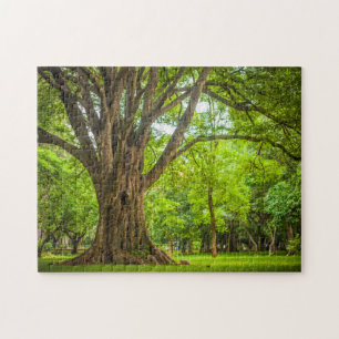 Large Tree in the Park Jigsaw Puzzle
