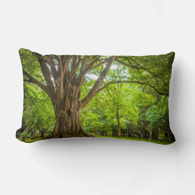 Large Tree in the Park Lumbar Pillow (Front)