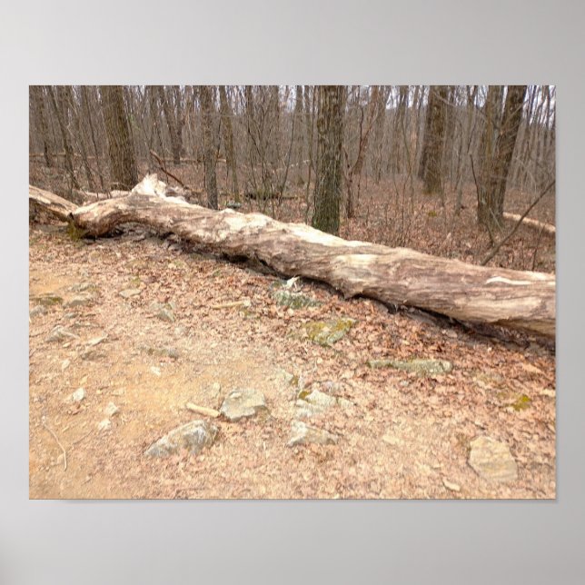 Large Tree Log Poster (Front)