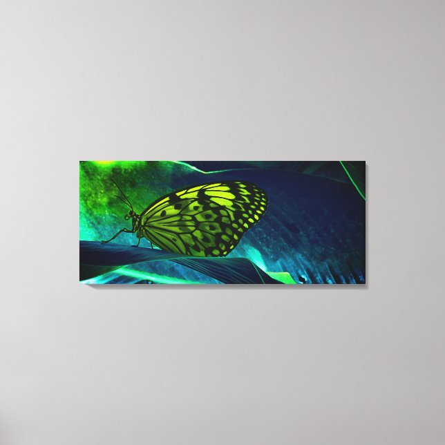 Large Tree Nymph Canvas Print (Front)