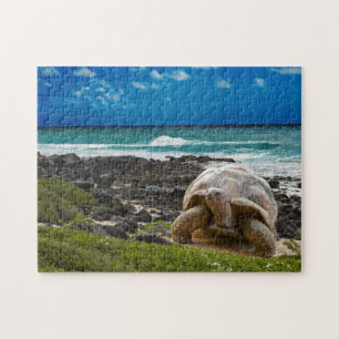 Large turtle at the sea edge jigsaw puzzle