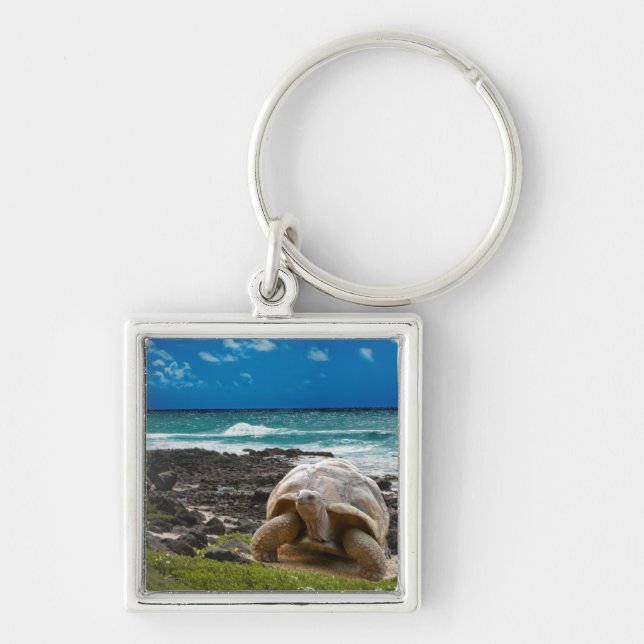 Large turtle at the sea edge keychain (Front)