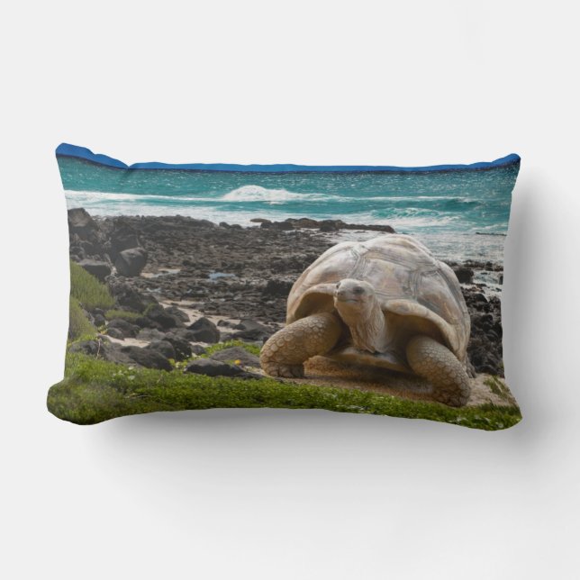 Large turtle at the sea edge lumbar pillow (Front)