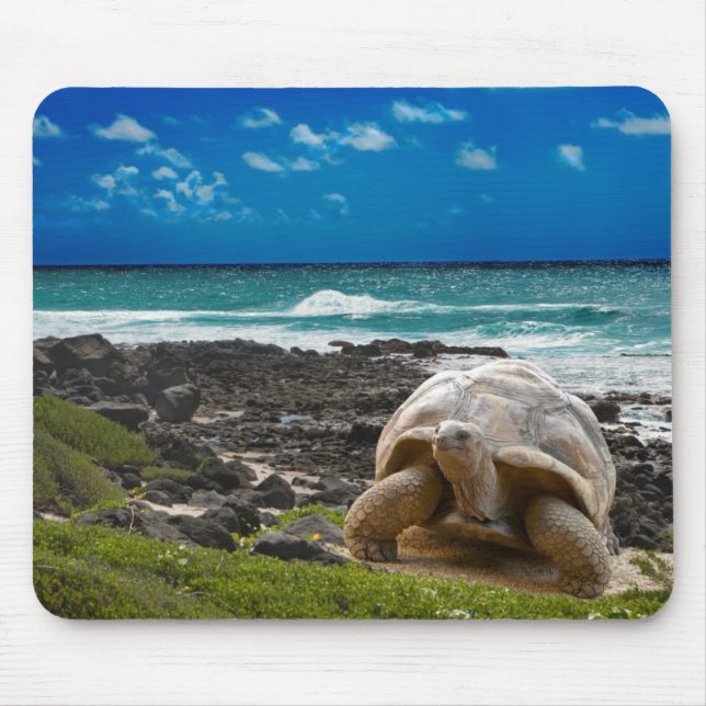 Large turtle at the sea edge mouse pad (Front)