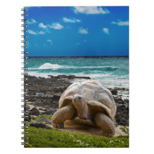 Large turtle at the sea edge notebook