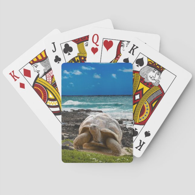 Large turtle at the sea edge playing cards (Back)