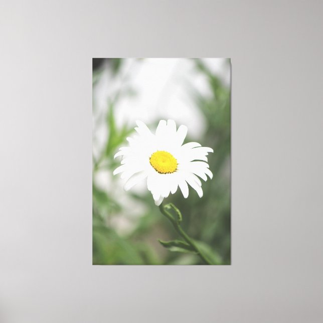 Large White Daisy Canvas (Front)