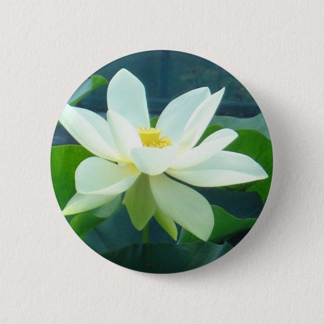 large white lily 2 inch round button (Front)