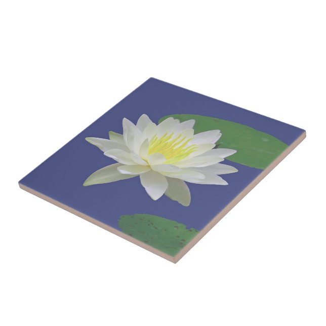"LARGE WHITE LOTUS BLOSSOM"CERAMIC TILE/TRIVET TILE (Side)