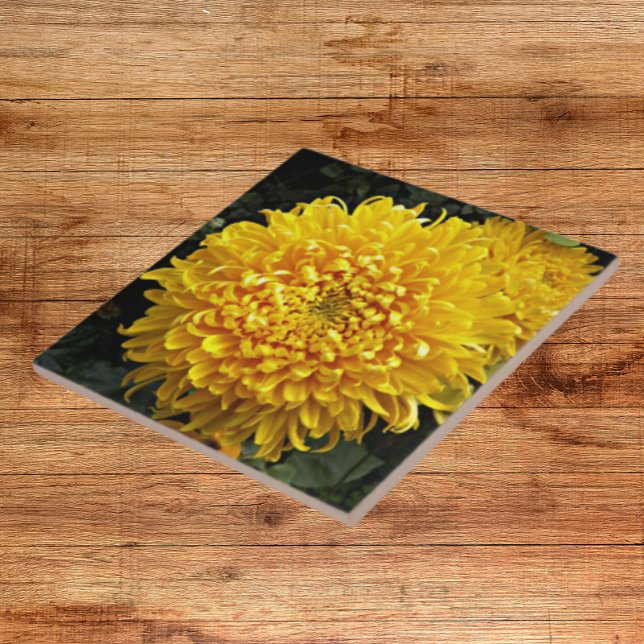 Large Yellow Chrysanthemum Floral Tile (In Situ)