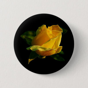 Large Yellow Rose 2 Inch Round Button