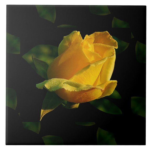 Large Yellow Rose Ceramic Tile (Front)