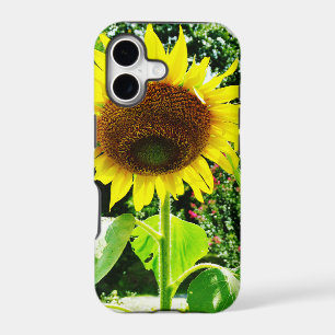 Large yellow Sunflower