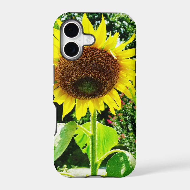 Large yellow Sunflower (Back)