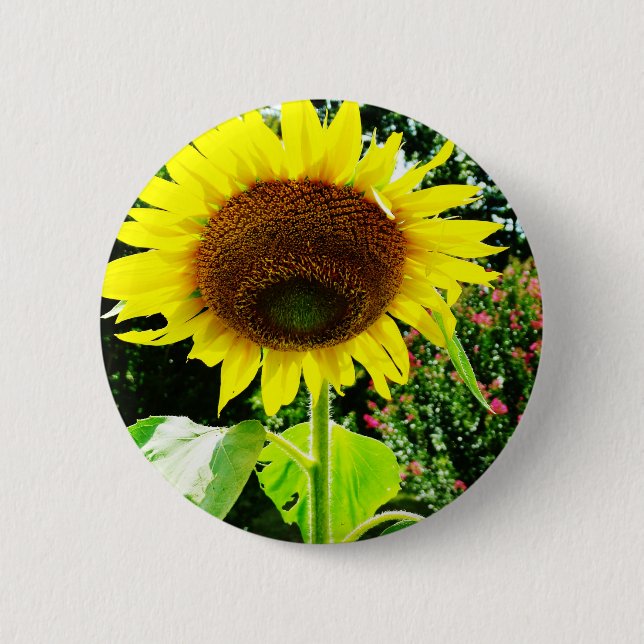 Large yellow Sunflower 2 Inch Round Button (Front)